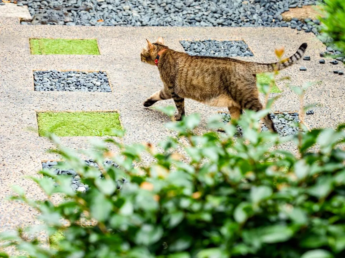 Villa Udatsuya Osaka Giappone